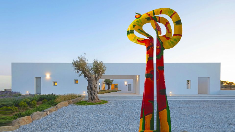 The-Tree-of-Paradise